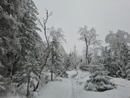 Schneeschuhwanderung Darmstädter Hütte, Januar 2026